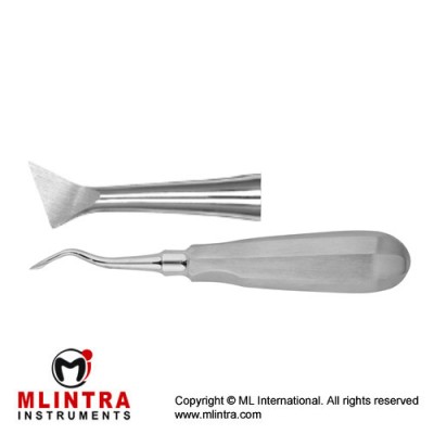 Cryer Root Elevator Fig. 45 - Small Stainless Steel,